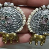 Special design earings