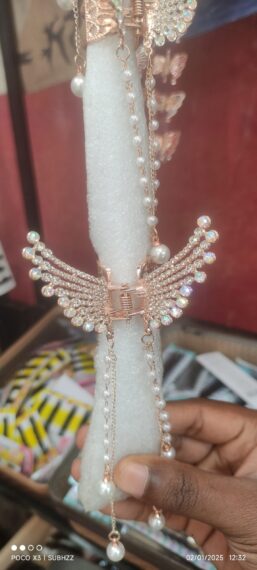 Fancy hair clip