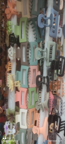 Stylish hair clip
